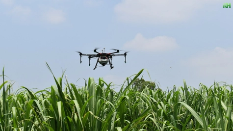AI agriculture img 2